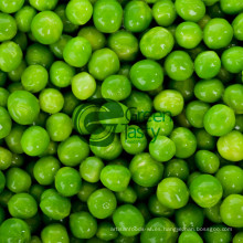 Guisantes verdes verduras congelada IQF